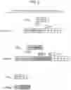 Fig. 06 - RELATIVE QUANTIFICATION OF GENETIC VARIANTS IN A SAMPLE