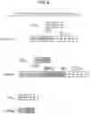Fig. 07 - RELATIVE QUANTIFICATION OF GENETIC VARIANTS IN A SAMPLE
