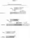 Fig. 08 - RELATIVE QUANTIFICATION OF GENETIC VARIANTS IN A SAMPLE