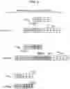 Fig. 09 - RELATIVE QUANTIFICATION OF GENETIC VARIANTS IN A SAMPLE