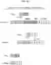Fig. 11 - RELATIVE QUANTIFICATION OF GENETIC VARIANTS IN A SAMPLE