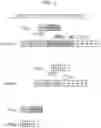 Fig. 12 - RELATIVE QUANTIFICATION OF GENETIC VARIANTS IN A SAMPLE