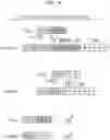 Fig. 15 - RELATIVE QUANTIFICATION OF GENETIC VARIANTS IN A SAMPLE