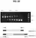 Fig. 21 - RELATIVE QUANTIFICATION OF GENETIC VARIANTS IN A SAMPLE