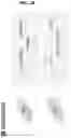 Fig. 25 - RELATIVE QUANTIFICATION OF GENETIC VARIANTS IN A SAMPLE