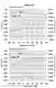 Fig. 05 - PROBE INCLUDING FALSE-POSITIVE-SUPPRESSING FUNCTION, METHOD FOR DESIGNING THE SAME, AND METHOD FOR UTILIZING THE SAME
