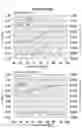 Fig. 09 - PROBE INCLUDING FALSE-POSITIVE-SUPPRESSING FUNCTION, METHOD FOR DESIGNING THE SAME, AND METHOD FOR UTILIZING THE SAME
