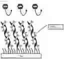 Fig. 14 - PROBE INCLUDING FALSE-POSITIVE-SUPPRESSING FUNCTION, METHOD FOR DESIGNING THE SAME, AND METHOD FOR UTILIZING THE SAME