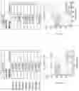Fig. 18 - REAGENTS, METHODS AND KITS FOR IDENTIFYING PREGNANT HUMAN BEINGS AT RISK FOR PLACENTAL BED DISORDER(S)