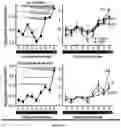 Fig. 03 - METHODS OF PREDICTING AND PREVENTING CANCER IN PATIENTS HAVING PREMALIGNANT LESIONS