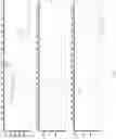 Fig. 19 - Multiplexed Fuel Analysis