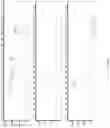 Fig. 20 - Multiplexed Fuel Analysis