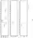 Fig. 24 - Multiplexed Fuel Analysis