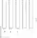 Fig. 70 - Multiplexed Fuel Analysis