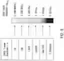 Fig. 06 - Airborne Pathogen Simulants and Mobility Testing