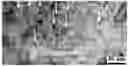 Fig. 01 - BINARY ALLOY DESIGN METHOD FOR MARINE STRESS CORROSION-RESISTANT HIGH-STRENGTH LOW-ALLOY (HSLA) STRESS CORROSION-RESISTANT STEEL
