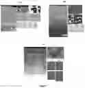 Fig. 02 - Method for surface modification of titanium and titanium alloy substrates