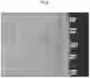 Fig. 07 - Heat treatment method for a vehicle component