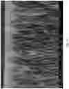 Fig. 02 - Methods for fabricating and etching porous silicon carbide structures