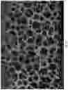 Fig. 07 - Methods for fabricating and etching porous silicon carbide structures