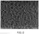 Fig. 03 - Biopolymer concentration method, crystallization method, and nanostructured substrate