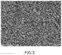 Fig. 04 - Biopolymer concentration method, crystallization method, and nanostructured substrate