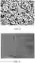 Fig. 05 - Biopolymer concentration method, crystallization method, and nanostructured substrate