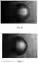 Fig. 08 - Biopolymer concentration method, crystallization method, and nanostructured substrate