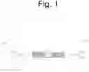Fig. 02 - VEHICLE CONE PLACER AND CHOCK ASSEMBLY