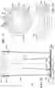 Fig. 06 - Universal canister flush valve