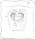 Fig. 01 - Resilient universal drain insert
