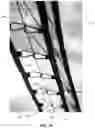 Fig. 17 - Protective Canopy Systems and Associated Methods of Installing and Taking Down