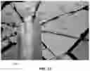 Fig. 18 - Protective Canopy Systems and Associated Methods of Installing and Taking Down