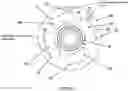 Fig. 04 - SCAFFOLD ROSETTE
