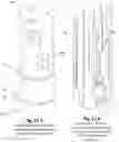 Fig. 12 - Electric submersible pump (ESP) rig less deployment method and system for oil wells and the like
