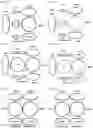 Fig. 10 - ONE CYLINDER AXIAL INTERNAL COMBUSTION ENGINE HAVING SCOTCH-YOKE BASED TWO PHASE FUEL COMPRESSION SYSTEM