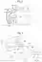 Fig. 03 - TURBOCHARGER
