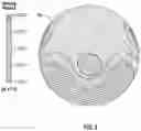 Fig. 04 - Contoured honeycomb bodies