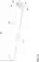Fig. 11 - Ceiling fan and blade