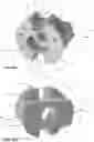 Fig. 06 - WALL FIXING DEVICE