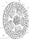 Fig. 01 - Torsion damper and clutch disk