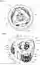 Fig. 03 - Planetary gear mechanism and geared motor