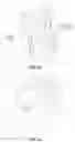 Fig. 08 - Continuously variable transmission