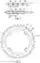 Fig. 02 - Alternating tooth chain ring
