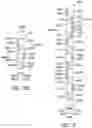 Fig. 15 - Alternating tooth chain ring