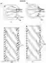 Fig. 05 - Pipes for carrying water