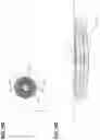 Fig. 10 - Vehicle lamp