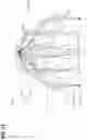 Fig. 14 - Vehicle lamp