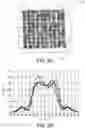 Fig. 11 - Micro LED sheet with small spheres to enable digital beam shaping