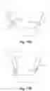 Fig. 12 - Light emitting apparatus